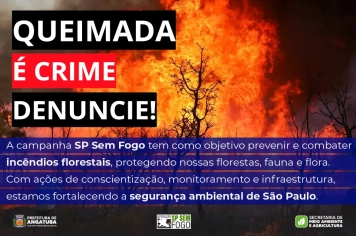 Queimada é crime, denuncie