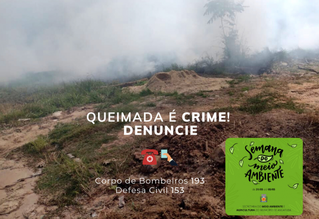 As principais causas e os riscos envolvendo as queimadas