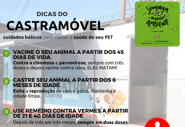 Cuidados com o seu animal de estimação: