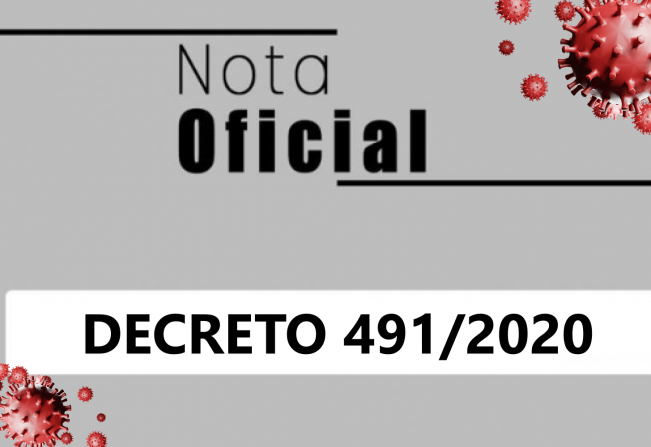 DECRETO 491/2020