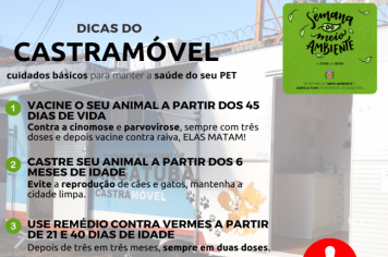 Cuidados com o seu animal de estimação:
