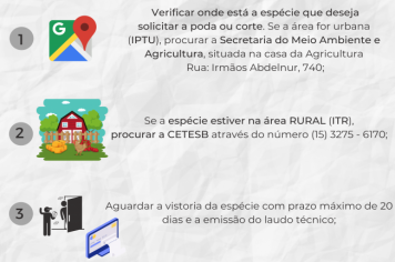 PROCESSO DE SOLICITAÇÃO DE PODA E CORTE DE ÁRVORES