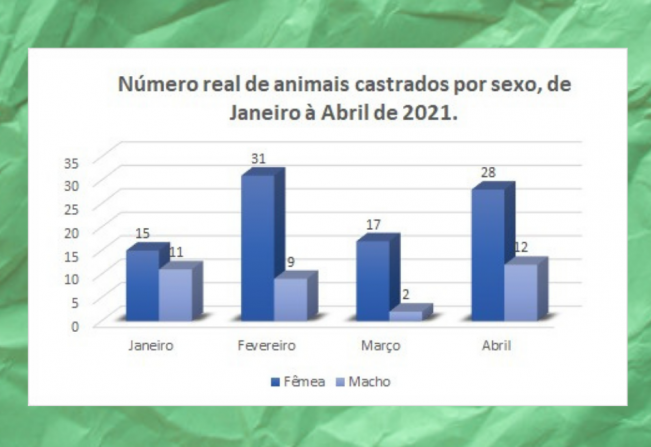 CASTRAÇÃO DE CÃES E GATOS SENDO REALIZADA NO CASTRAMÓVEL