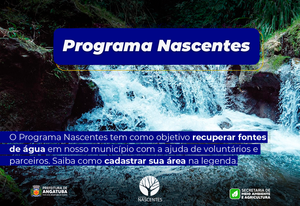 Programa Nascentes